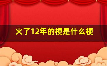 火了12年的梗是什么梗