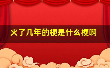 火了几年的梗是什么梗啊