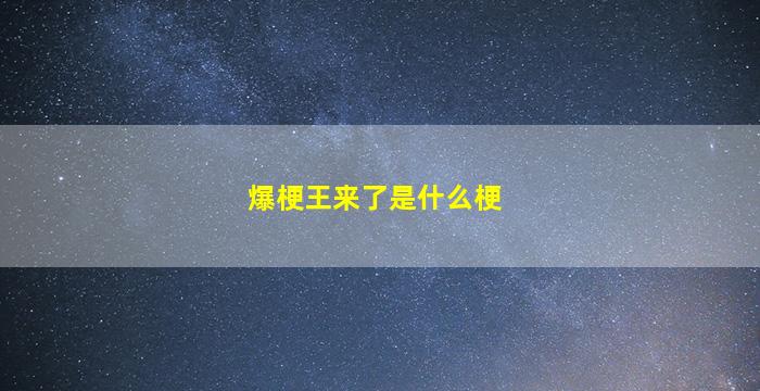 爆梗王来了是什么梗