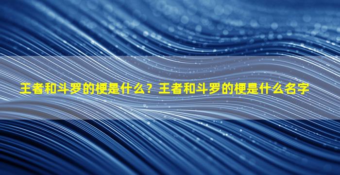 王者和斗罗的梗是什么？王者和斗罗的梗是什么名字