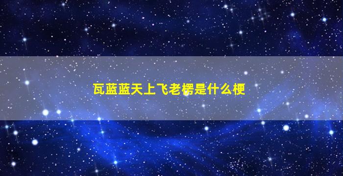 瓦蓝蓝天上飞老楞是什么梗