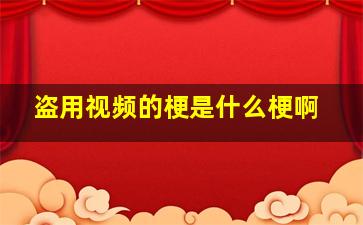 盗用视频的梗是什么梗啊