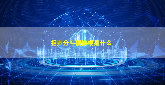 相声分斗梗捧梗是什么