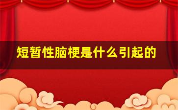 短暂性脑梗是什么引起的