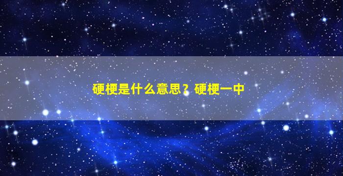 硬梗是什么意思？硬梗一中