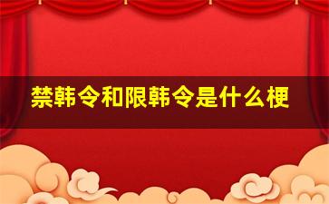 禁韩令和限韩令是什么梗