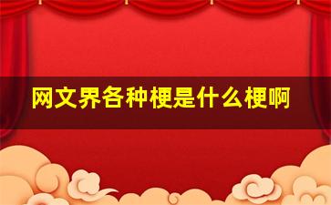 网文界各种梗是什么梗啊