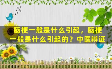 脑梗一般是什么引起，脑梗一般是什么引起的？中医辨证