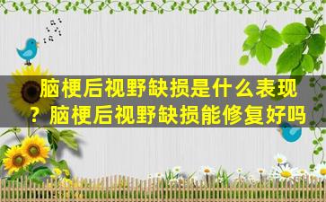 脑梗后视野缺损是什么表现？脑梗后视野缺损能修复好吗