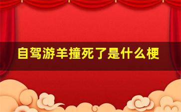 自驾游羊撞死了是什么梗