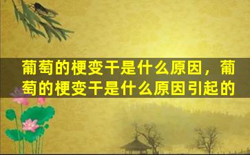 葡萄的梗变干是什么原因，葡萄的梗变干是什么原因引起的