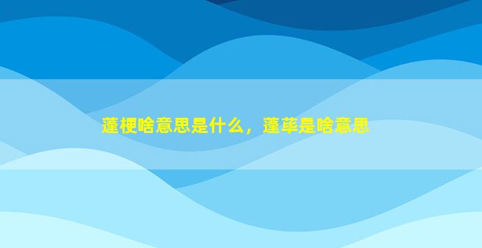 蓬梗啥意思是什么，蓬荜是啥意思