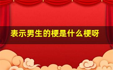 表示男生的梗是什么梗呀