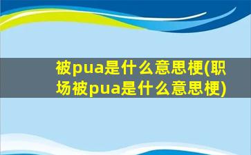 被pua是什么意思梗(职场被pua是什么意思梗)