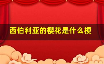 西伯利亚的樱花是什么梗