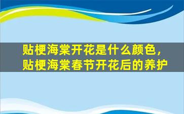 贴梗海棠开花是什么颜色，贴梗海棠春节开花后的养护