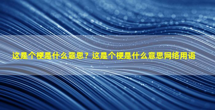 这是个梗是什么意思？这是个梗是什么意思网络用语