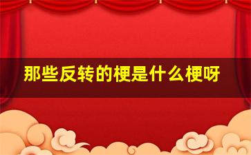 那些反转的梗是什么梗呀