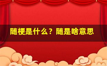 随梗是什么？随是啥意思