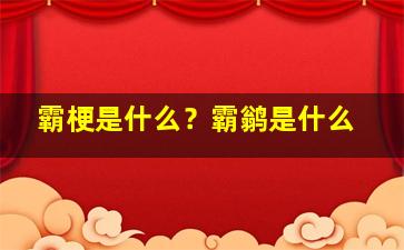 霸梗是什么？霸鹟是什么