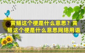 黄鳝这个梗是什么意思？黄鳝这个梗是什么意思网络用语